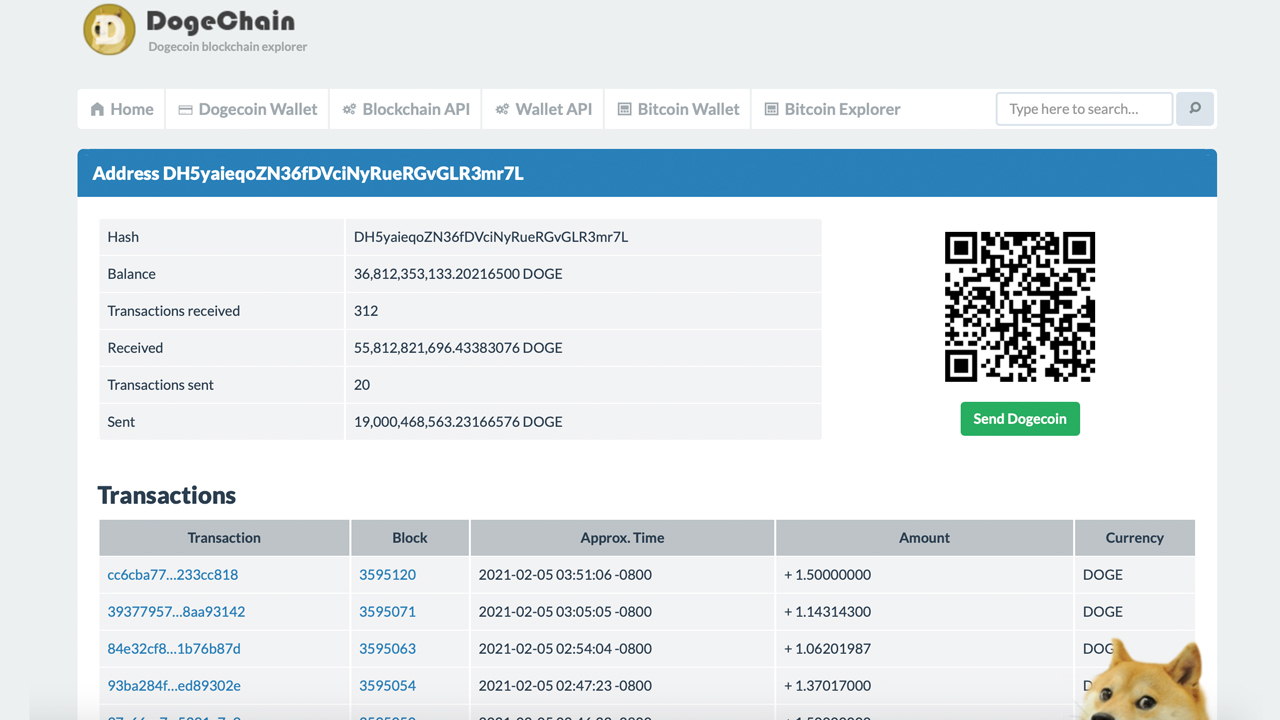 A Mysterious Dogecoin Address Absorbed 27% of the Supply, the Top 20 Addresses Captured 50%