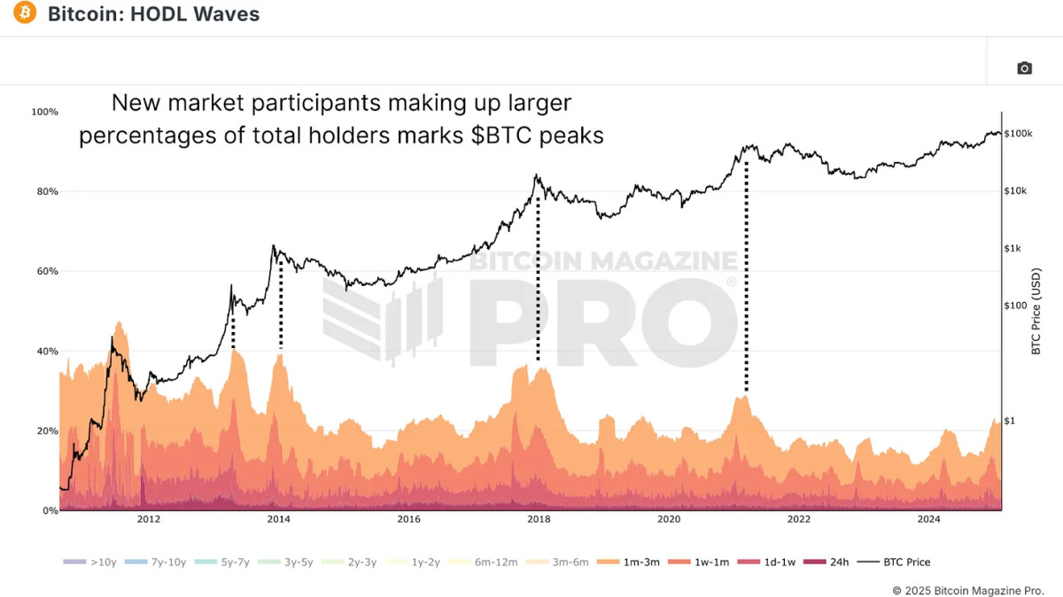 HODL Waves chart