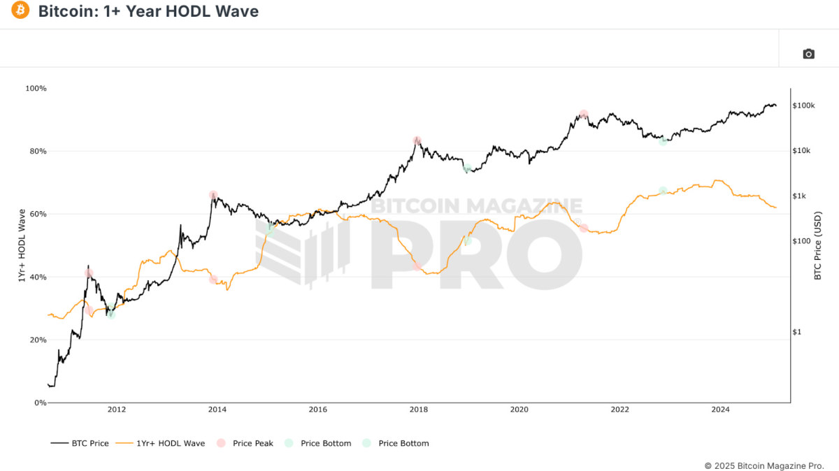 1+ Year HODL Wave chart