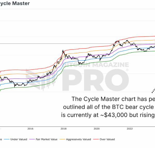 Mathematical Analysis of Bitcoin Price Floor Prediction