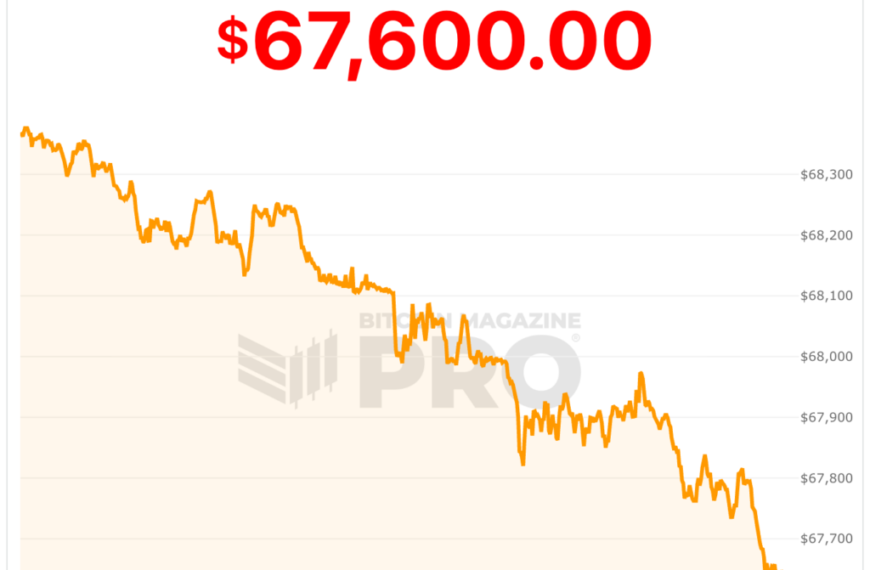 Bitcoin Price Dips to $67,000, Down 13%&hellip;