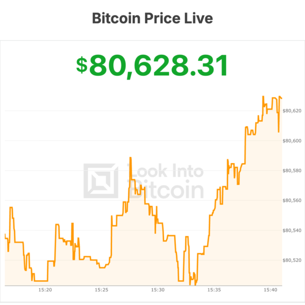 Bitcoin Price Stabilizes Around $80,500 Ahead of&hellip;