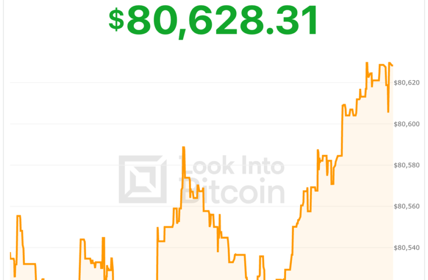 Bitcoin Price Stabilizes Around $80,500 Ahead of&hellip;